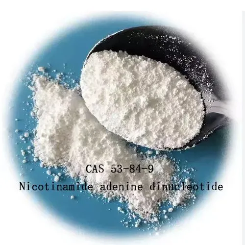 99% nikotinamid adenin dinukleotid nad för anti-aging cas 53-84-9